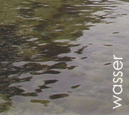 Wasser
